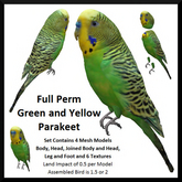 Full Perm Green and Yellow Parakeet