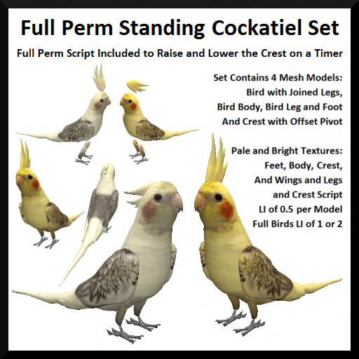 Full Perm Standing Cockatiels