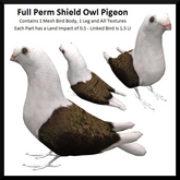 Full Perm Shield Owl Pigeon