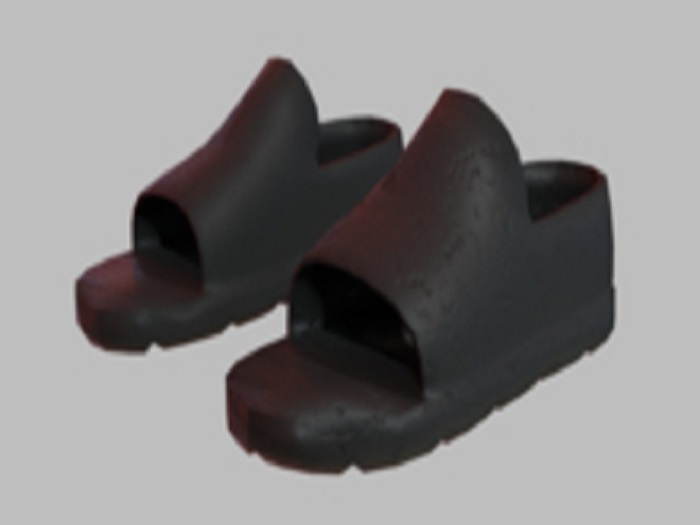 Ninja shoes