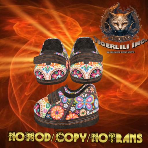 Velcro Shoes 030