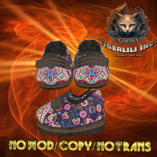 Velcro Shoes 029