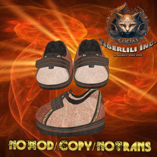 Velcro Shoes 027