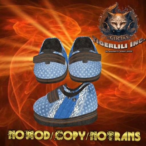 Velcro Shoes 026
