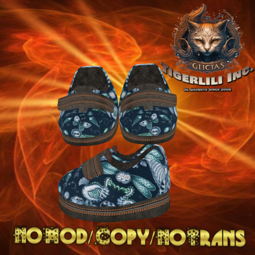 Velcro Shoes 023