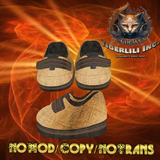Velcro Shoes 019