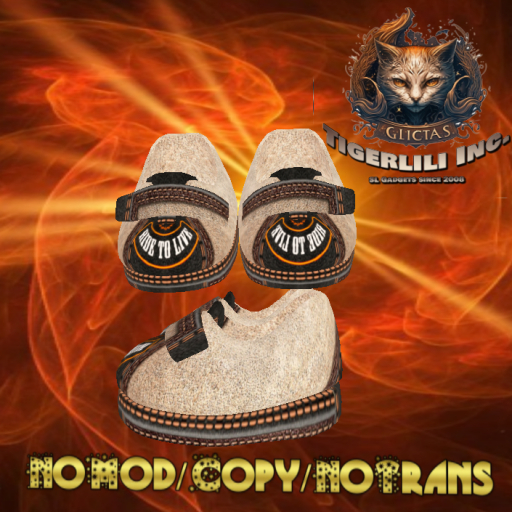 Velcro Shoes 016