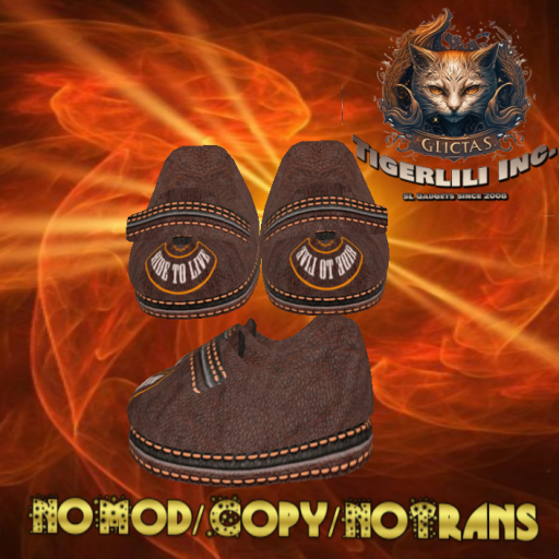 Velcro Shoes 015