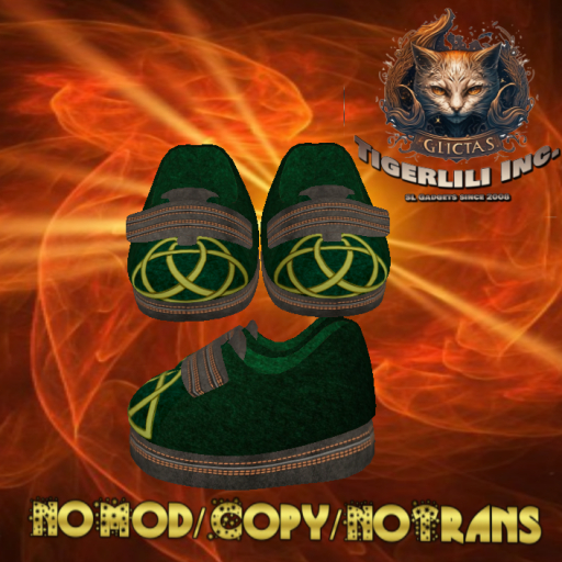 Velcro Shoes 014