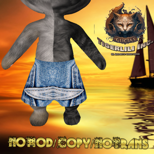 Shorts Jeans 006