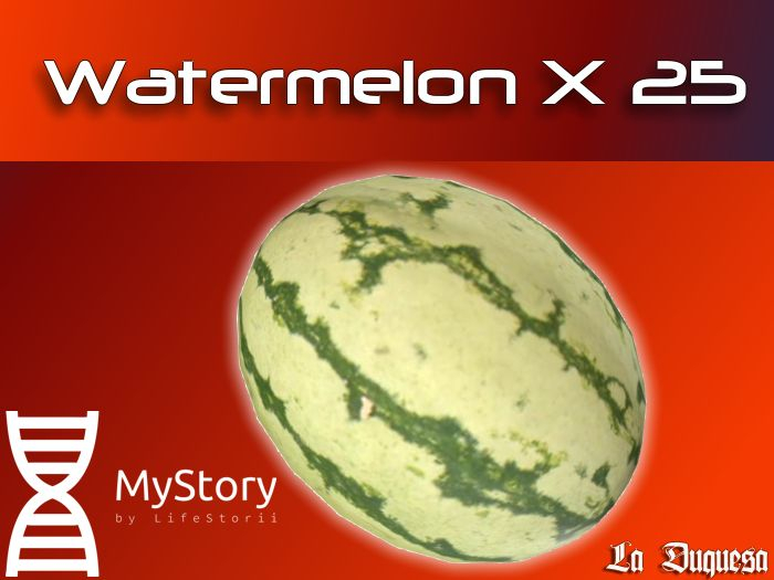 Watermelon x 25 - [MyStory]