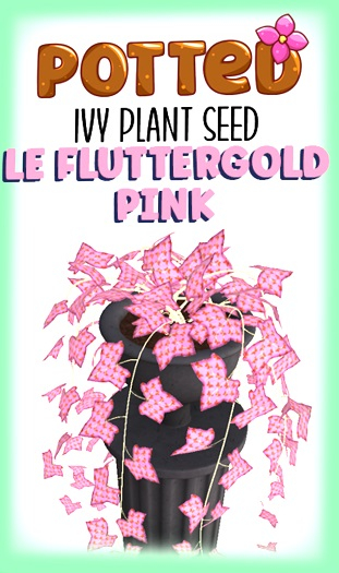 Potted: Ivy Plant Seed: LE Fluttergold Pink