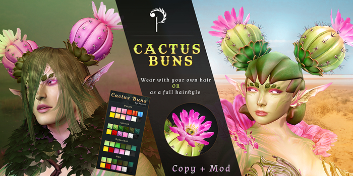 Cactus Buns - [Paesia]