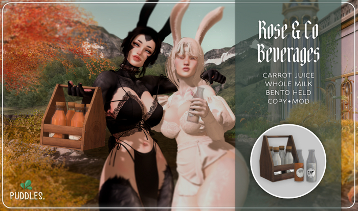 Puddles. R&Co Beverages