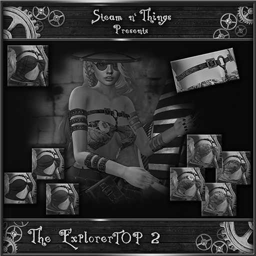 Sn'T-Explorer-Top-2-Demo