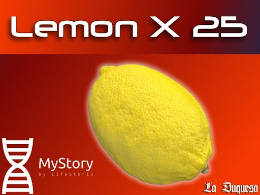 Lemon x 25 - [MyStory]