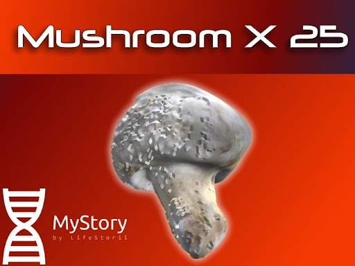 Mushroom x 25 - [MyStory]