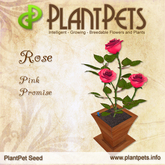 PlantPet Seed [Rose *Pink Promise*] - Common - Updated