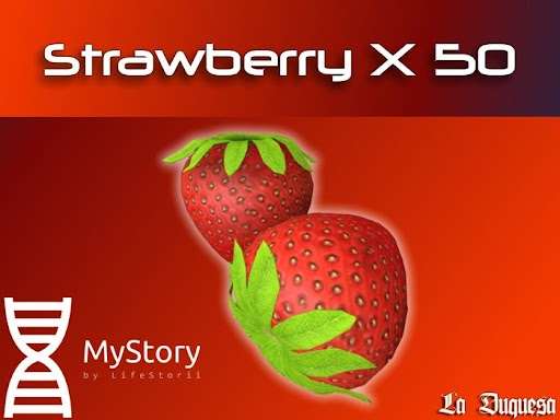 Strawberry x 50 - [MyStory]