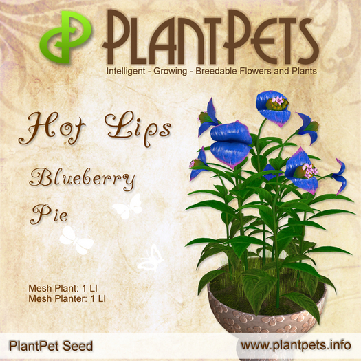 PlantPet Seed [Hot Lips *Blueberry Pie*] 