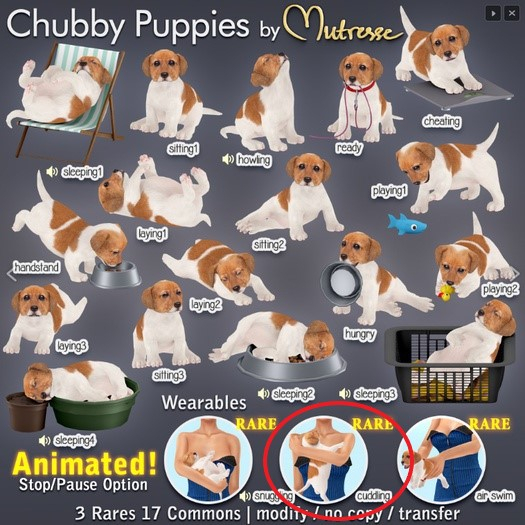 19-Mutresse-Cuddling-Chubby Puppies RARE