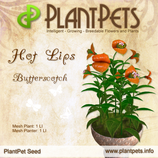 PlantPet Seed [Hot Lips *Butterscotch*] 