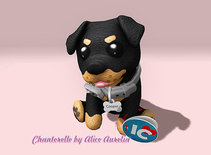Intrigue Co. - Plushie Pals: Cooper the Rottweiler