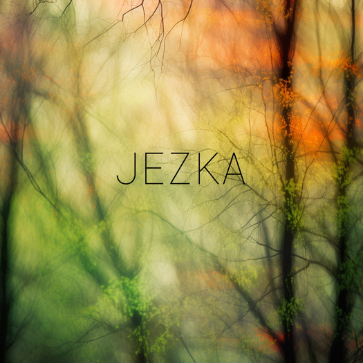 JEZKA - Full Perm Texture 507