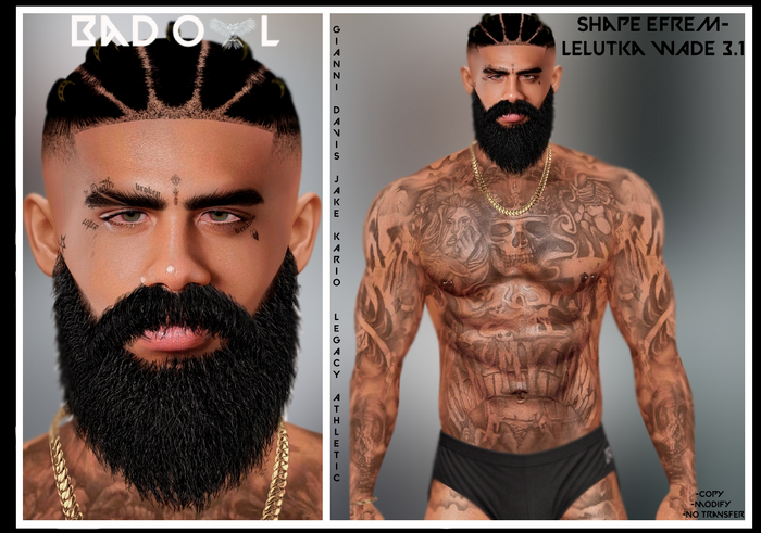 SHAPE EFREM-LELUTKA WADE 3.1