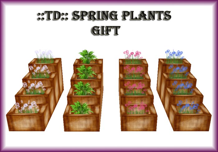 ::TD::Spring Plants gift