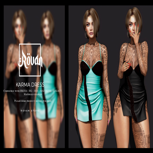 B.S PROMO KARMA  DEMO