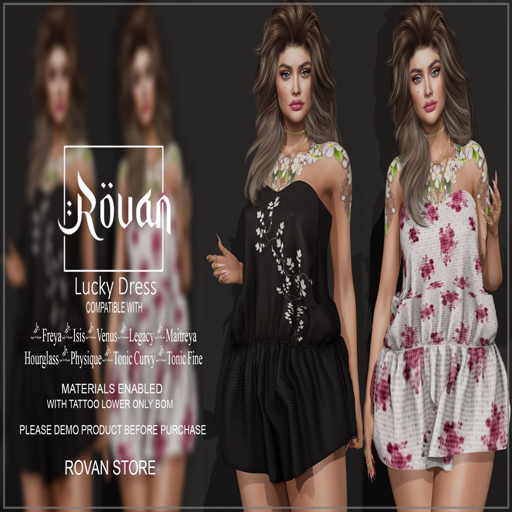 B.S PROMO  LUCKY DRESS DEMO