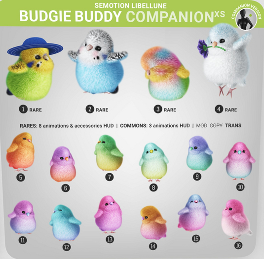 3. SEmotion Libellune Budgie Buddy XS Companion RARE