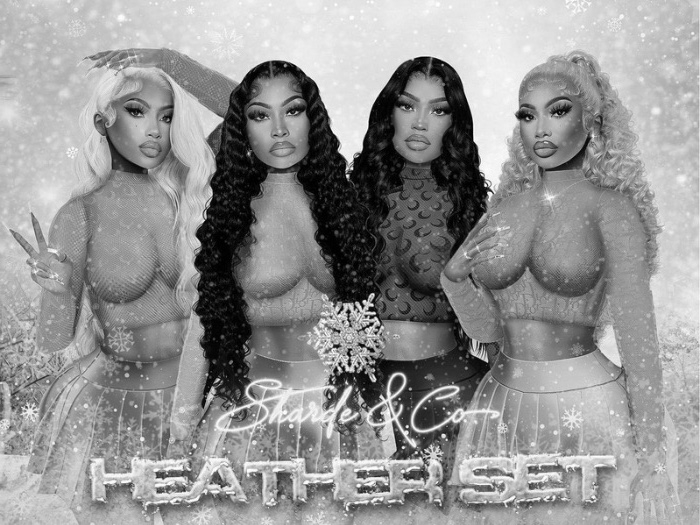 SHARDE $ Heather Set - DEMO