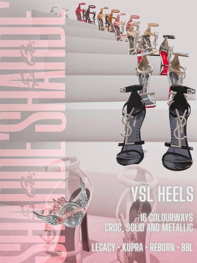SHARDE $ YSL Heels - FATPACK