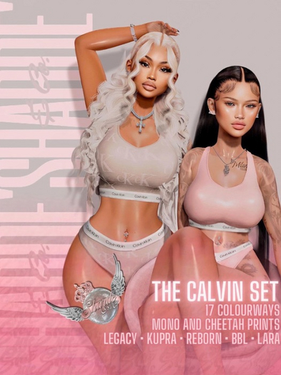 SHARDE $ Calvin Set - FATPACK