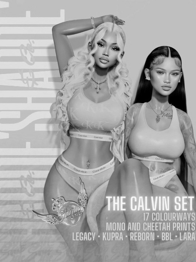 SHARDE $ Calvin Set - DEMO