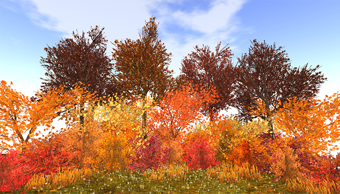 Jad Garden - Autumn Trees Hazel and bushes border