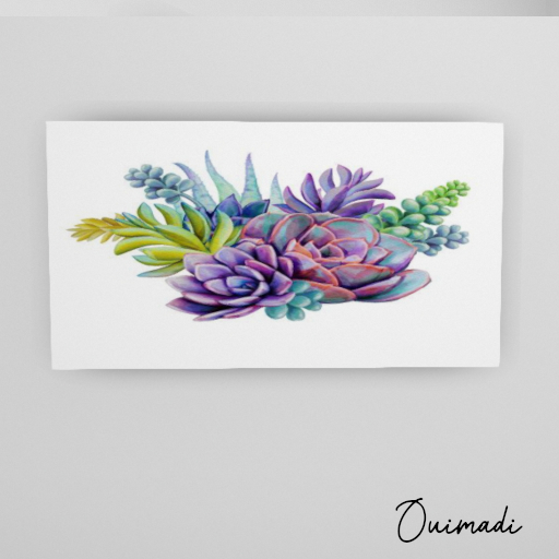 Ouimadi : Succulents 