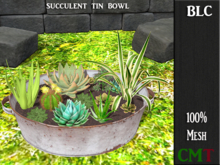 BLC succlent tin bowl