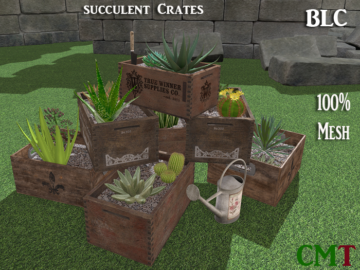 BLC Succulent Crates