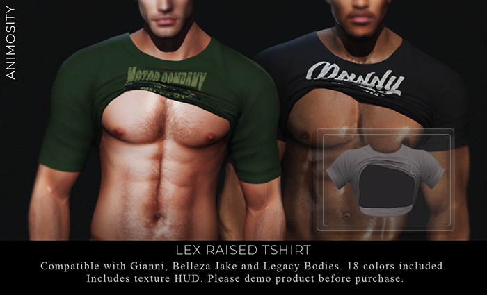 Animosity - Lex Shirt Grey