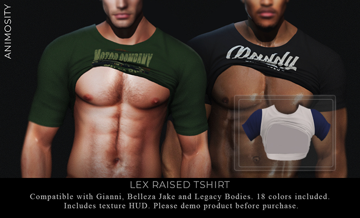 Animosity - Lex Shirt Blue/w