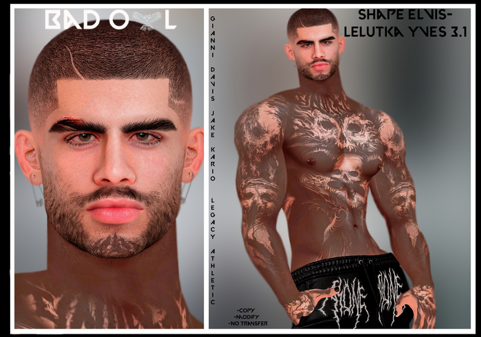 SHAPE ELVIS-LELUTKA YVES 3.1