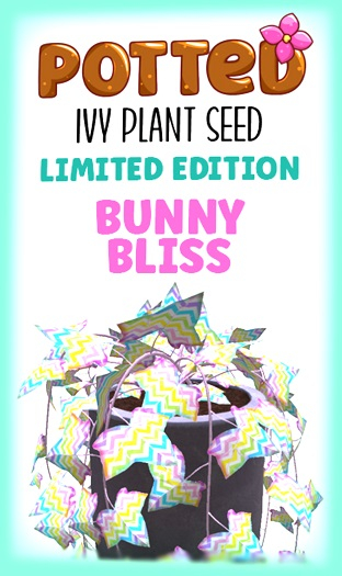 Potted: Ivy Plant Seed: LE Bunny Bliss