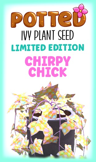Potted: Ivy Plant Seed: LE Chirpy Chick