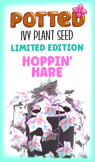 Potted: Ivy Plant Seed: LE Hoppin' Hare