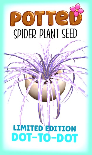Potted: Spider Plant Seed: LE Dot-to-Dot