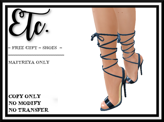 Etc. Free Gift Shoes