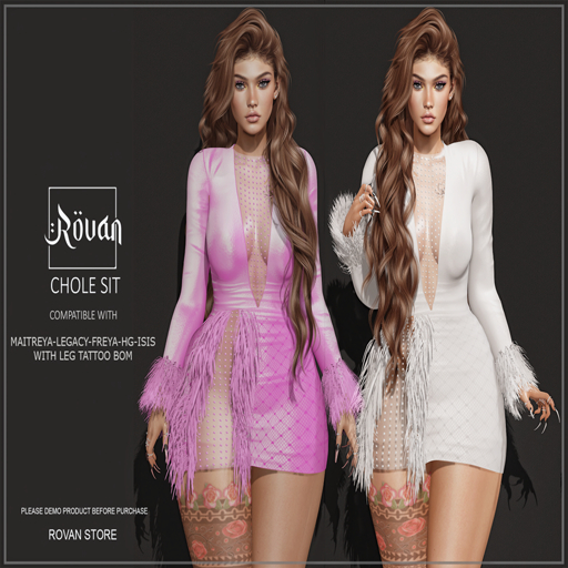 B.S PROMO CHOLE DRESS DEMO